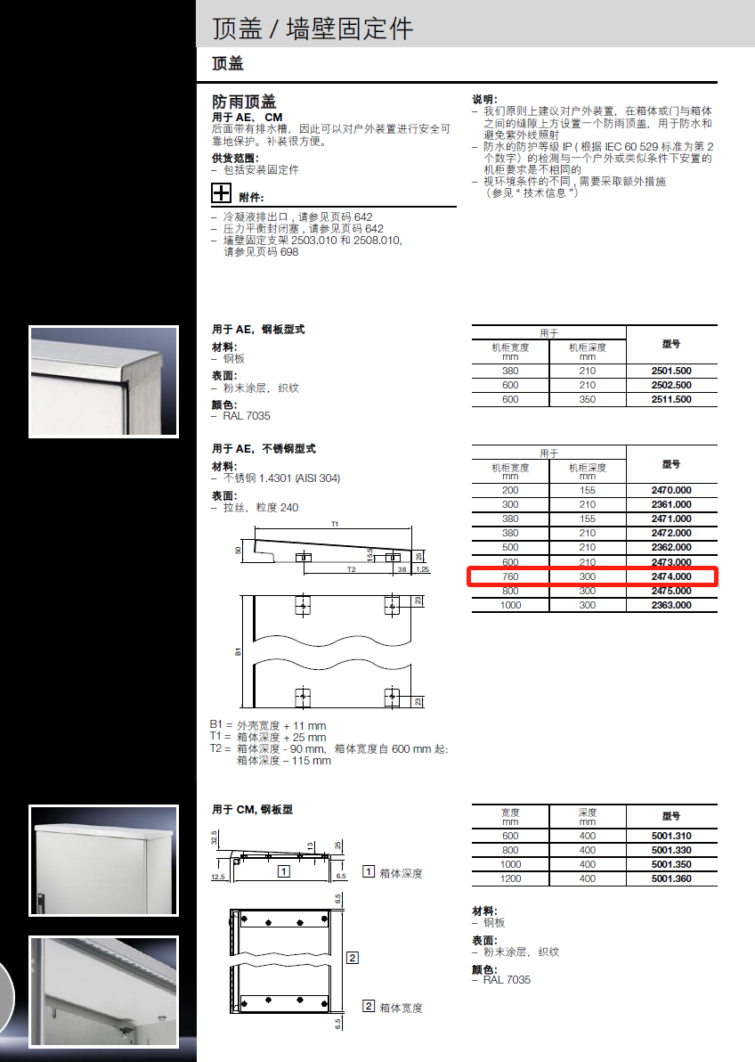 DC(j)D{(dio)SD늹Dĸ(xin)DL(fng)rittalDDۺ
