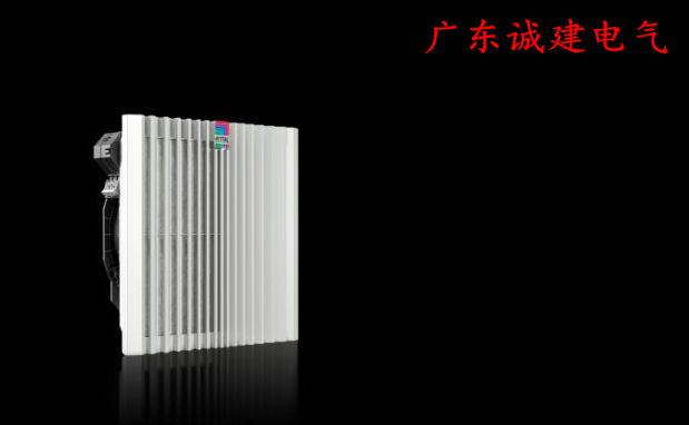 DCD{SD늹DĸDLrittalDDۺ